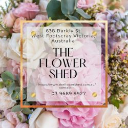 Same Day Flower Delivery Footscray | The Flower Shed