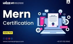 Best Reasons To Learn MERN Stack