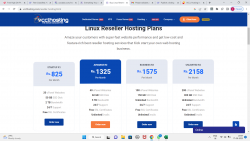 What is Reseller hosting? Types of reseller hosting