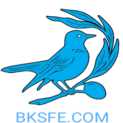 BKSFE social network