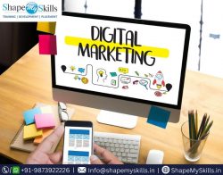 Unlock Your Potential in Digital Marketing at ShapeMySkills