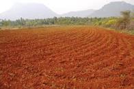 Farm Plots Near Bangalore – Offered By Anugraha Farms