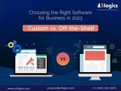 Custom vs. Off-the-Shelf Software Selection for 2023 Business Success