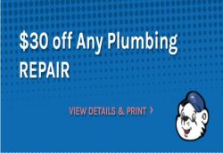 $30 Off on any Plumbing Repair