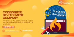 The Ultimate Guide to Choosing the Right Codeigniter Development Company