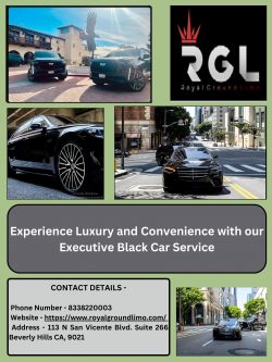 Experience Luxury and Convenience with our Executive Black Car Service