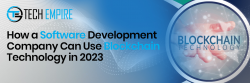 How to Use Blockchain Technology in Software Development?