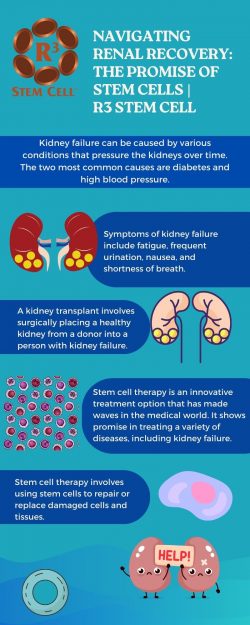 Navigating Renal Recovery: The Promise of Stem Cells | R3 Stem Cell