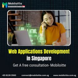 Web Applications Development in Singapore: Get A free consultation- Mobiloitte