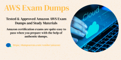 AWS Exam Dumps – Dumps for an Efficient and Successful Outcome