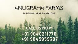 Cultivate Your Dreams: Buy Farm Land Near Bangalore with Anugraha Farms.
