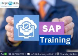Best Certification For SAP Training in Noida at ShapeMySkills