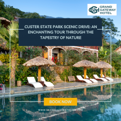 Custer State Park Scenic Drive: A Majestic Journey through Nature’s Tapestry