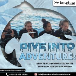 Dive into Adventure: Nusa Penida Diving at Its Finest with Sanctum Dive Indonesia