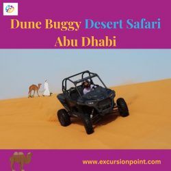 Dune buggy desert safari Abu Dhabi