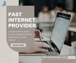 Experience Lightning-Fast Internet with Fiber Internet Now in Lake Stevens