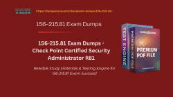 Unveiling the Best 156-215.81 Exam Dumps for Checkpoint Dumps