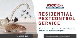 Residential Pest Control Service With Expert Precision and Unrivaled Excellence