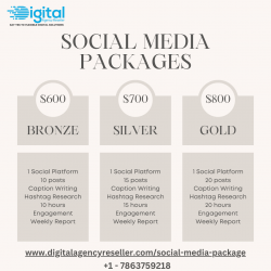 Social Media Marketing Plans – Digital Agency Reseller