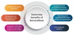 Elevating Business Success: Unveiling the Power of ServiceNow Consulting Services