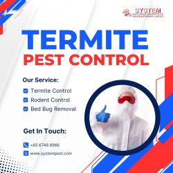 Defending Your Sanctuary: Termite Control by System Pest