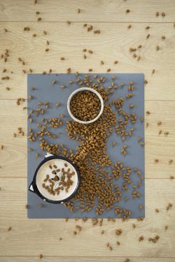 Everything To Know About Best Grain-Free Cat Foods