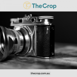 The Professional Photographer’s Handbook: Techniques and Strategies