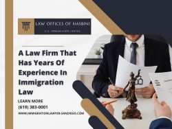 Navigating the Path to Success: Your Trusted San Diego Immigration Lawyer