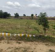Anugraha Farms Presents Premium Farm Land for Sale in Hosur.