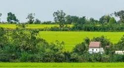 Green Acres of Excellence: Best Managed Farmland Near Bangalore at Anugraha Farms.