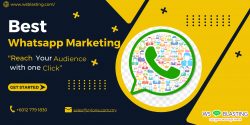 Explore the Pinnacle with the Best WhatsApp Marketing Software