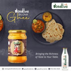 Gosattva Bilona Ghee