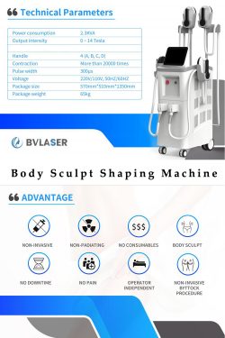 The best body sculpt shaping machine-BVLASER. Non invasive Non-surgical beautiful body sculpting ...