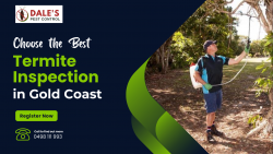 Choose the Best Termite Inspection in Gold Coast