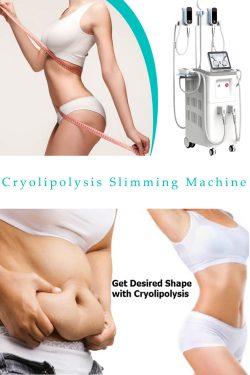 The best professional cryolipolysis fat freeze slimming machine manufacturer & supplier-BVLA ...