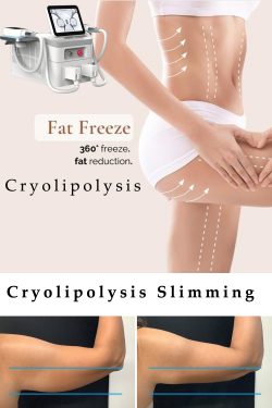 360 cryolipolysis machine manufacturer&supplier-BVLASER. Cryolipolysis fat freeze slimming m ...