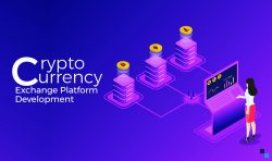 Start A Simple Yet Appealing Cryptocurrency Exchange Software Development