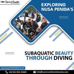 Exploring Nusa Penida’s Subaquatic Beauty through Diving