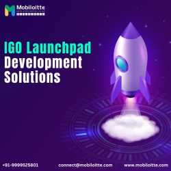 IGO Launchpad Development with Mobiloitte