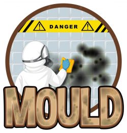 mould cleaning company in uk