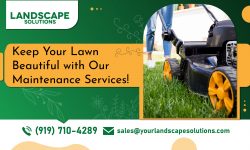 Create a Lush and Healthy Outdoor Space with Our Experts!