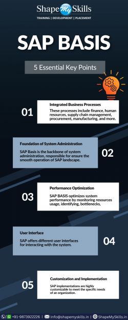 SAP Basis 5 Essential Key Points