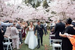 Wedding Photographer New Zealand