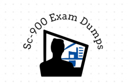 Sc-900 Exam Dumps Strategies For The Entrepreneurially Challenged