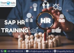 Topmost SAP HR Training in Noida at ShapeMySkills