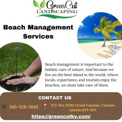 Enhance Your Beach Experience with Top-notch Beach Management Services