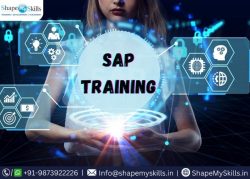 Career Advice in SAP Training in Noida at ShapeMySkills