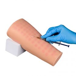 Ultrassist Intradermal Injection Practice Simulator for Nursing Training