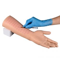 Ultrassist Intradermal Injection Practice Arm for Nursing Students