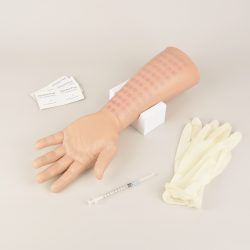 Intradermal Injection Training Arm with Hand Model